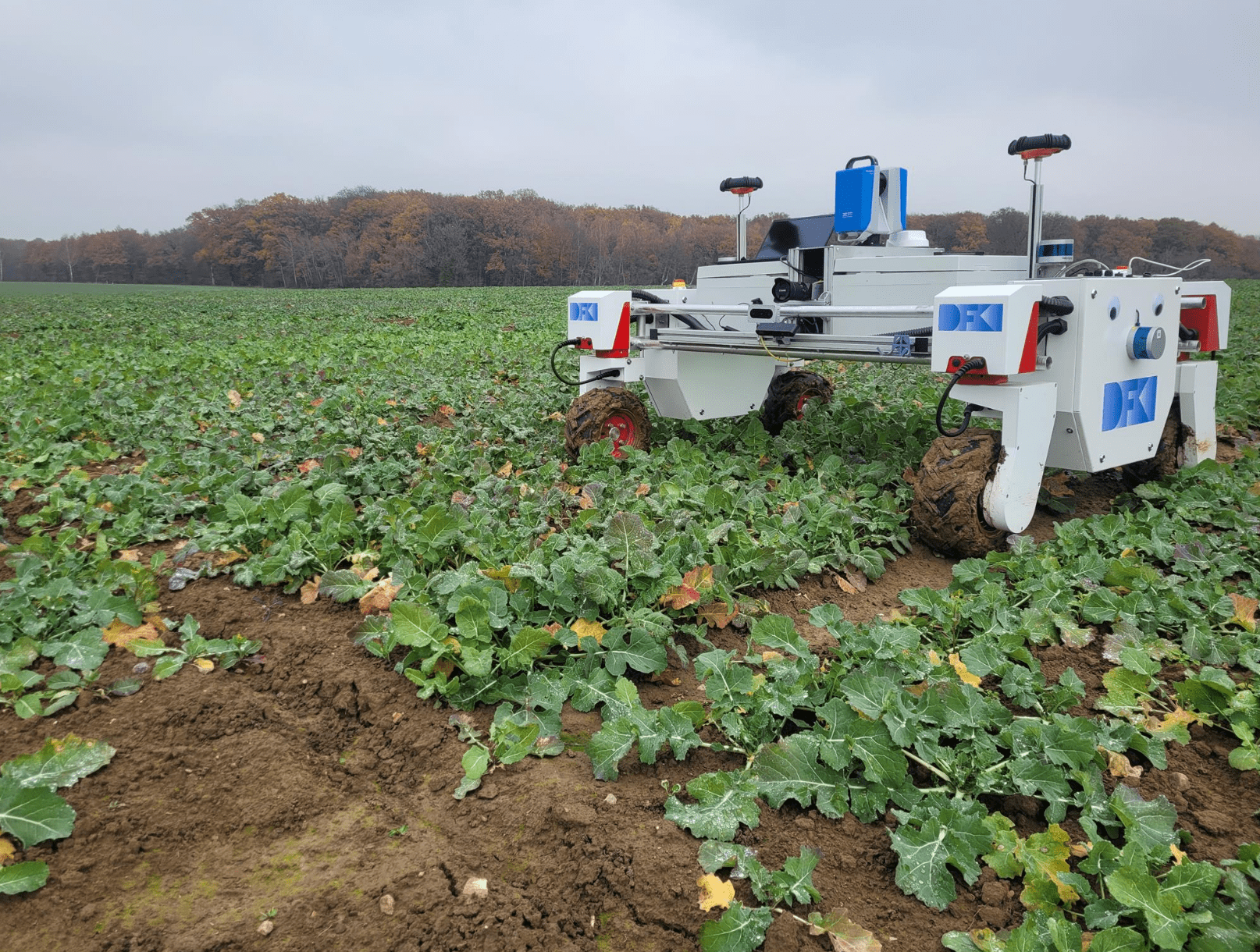 Landwirtschaftliche Maschine fährt über Feld