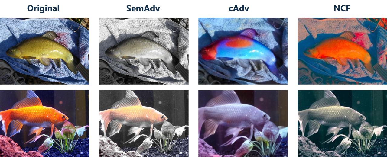 Bilder von Fischen auf verschiedene Art manipuliert.