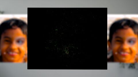 Schwarzes Quadrat und zwei Gesichter daneben