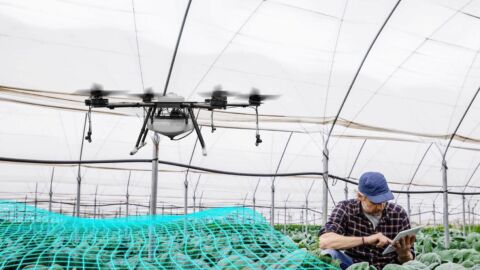 Vorschau-Bild zu MultiRob (AStEntm-2): Erprobung autonomer Technik im Agrarbereich