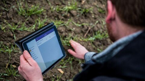 Mann steht mit Tablet auf Feld und berührt den Rasen