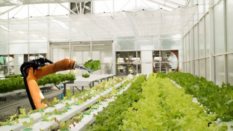 Vorschau-Bild zu Praxisorientierte Autonomisierung landwirtschaftlicher Verfahren