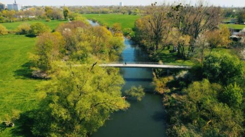 Flusslandschaft mit grünem Umfeld