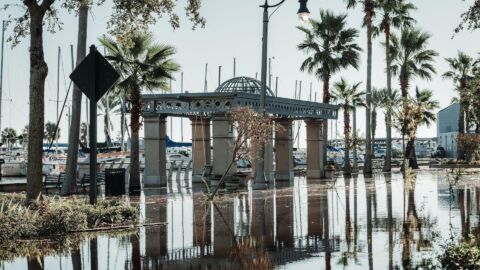 Vorschau-Bild zu DuFloViz - Salzwasserdynamik bei Extremereignissen in Küsten-/Ästuarumwelt: Digitale Modellkoppelung und immersive Visualisierung