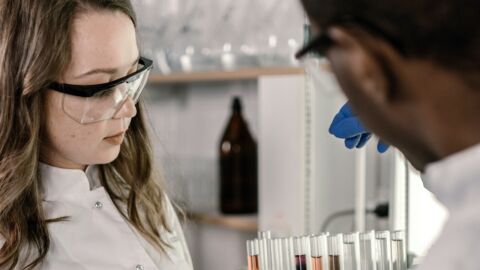 Vorschau-Bild zu PRiuS: Prognosetool zur Risikoabschätzung urbaner Schadstoffeinträge