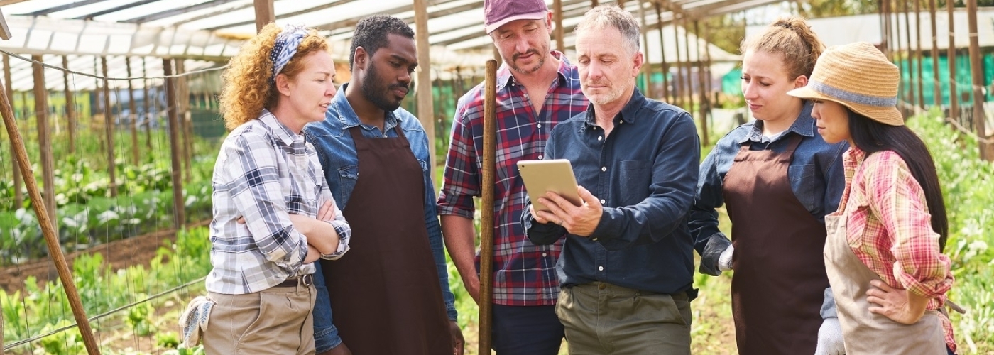 Sechs Personen stehen auf einem Feld und blicken auf ein Tablet.