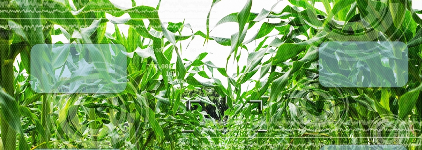 Titelbild zu Landwirtschaft: Entwicklung praktisch einsetzbarer Verfahren und Werkzeuge