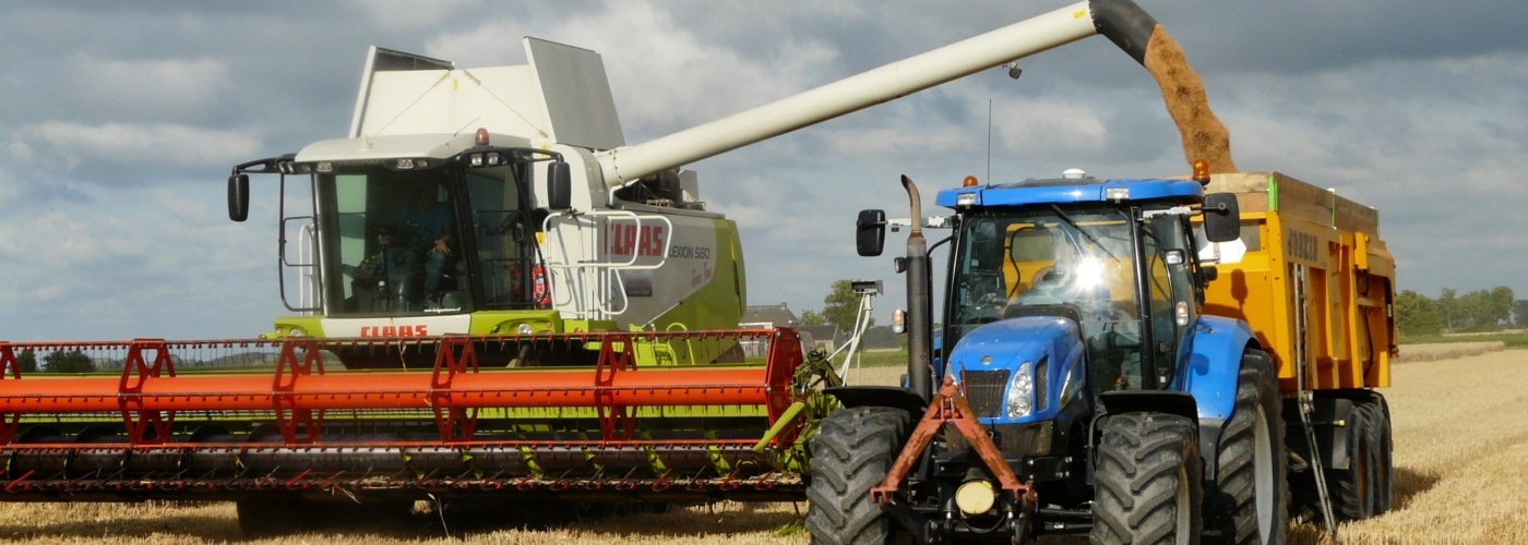 Titelbild zu KI-Ökosystem für die Agrar- und Ernährungswirtschaft